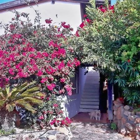 Сasa de vacaciones Casa Azul, Arico Viejo - Baden, Wandern, Klettern, Individualurlaub Jenseits Des Massentourismus, La Sabinita