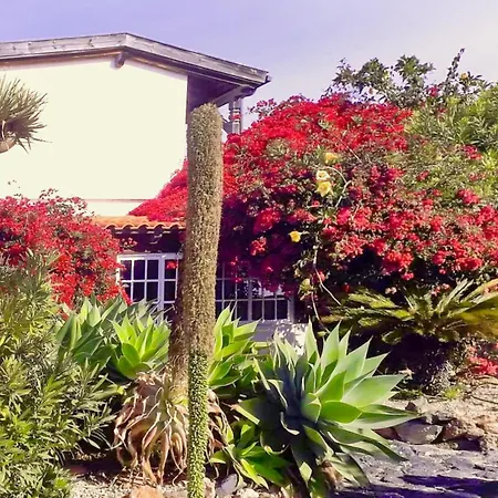 Сasa de vacaciones Casa Azul, Arico Viejo - Baden, Wandern, Klettern, Individualurlaub Jenseits Des Massentourismus, La Sabinita