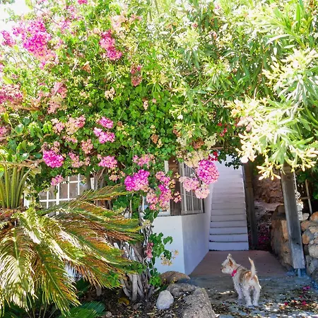 Casa Azul, Arico Viejo - Baden, Wandern, Klettern, Individualurlaub Jenseits Des Massentourismus, Сasa de vacaciones *
